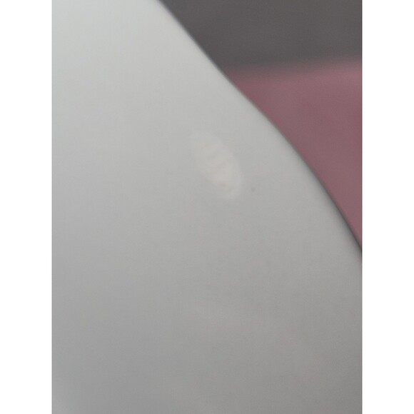 Set Of 4 Spode Williams Sonoma Woodland Harvest 9" Dessert Salad Luncheon Plates - Picture 9 of 10